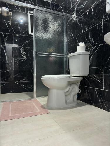 a bathroom with a toilet and a shower at Hermoso Apartamento en 3er nivel con terraza privada in Bonao