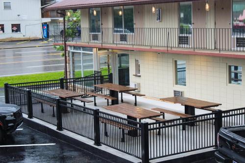 Billede fra billedgalleriet på Sleepy Bear Motel i Gatlinburg