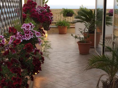 a patio with flowers and plants in pots at PortAtenea - Atenea Collection in Agrigento