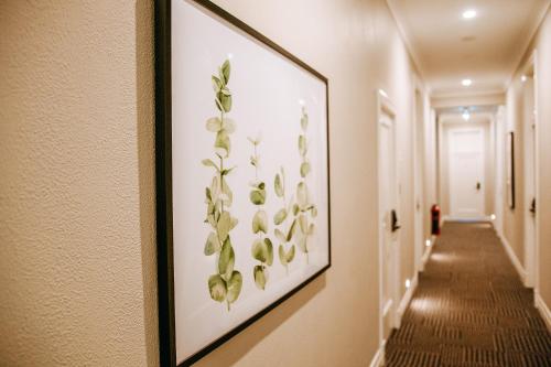 a framed picture of flowers on a hallway wall at Tourist Hotel Narrabri in Narrabri