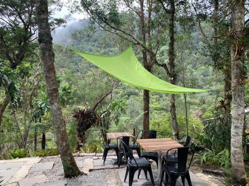 a green umbrella hanging over a table in a forest at The Jerai Hill Resort in Yan