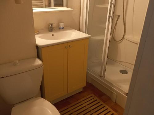 une salle de bain avec toilettes, lavabo et douche dans l'établissement Appartement à Noirmoutier, proche plage, animaux admis, parking - FR-1-823-140, à Noirmoutier-en-l'lle