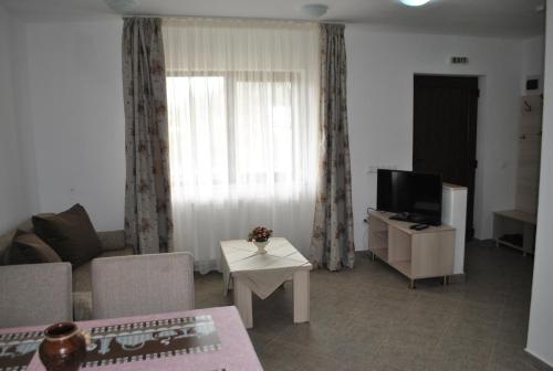 a living room with a couch and a tv at Pensiunea Encian in Colibiţa