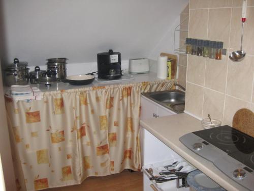 uma cozinha com um lavatório e uma bancada em Pokoje Gościnne Pod Palmami em Busko-Zdrój
