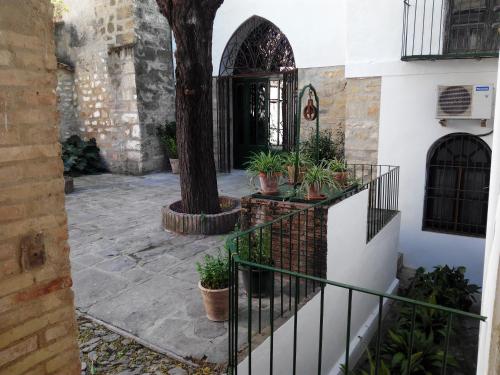a courtyard with a tree and some potted plants at Hotel Ordóñez Sandoval in Úbeda