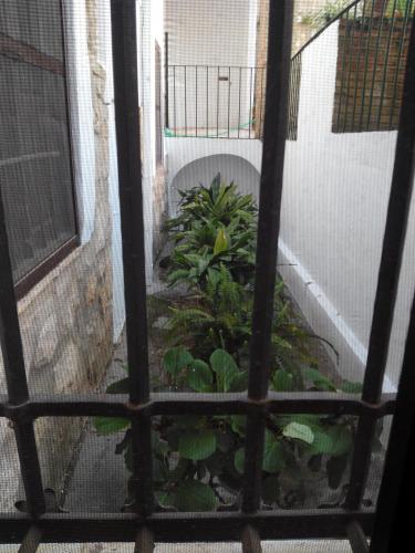a view of a garden through a window at Hotel Ordóñez Sandoval in Úbeda