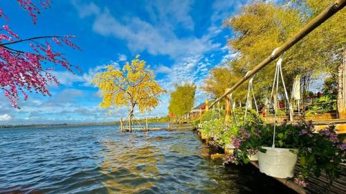 a row of plants on the side of a body of water at Jun's Home in Buon Ma Thuot