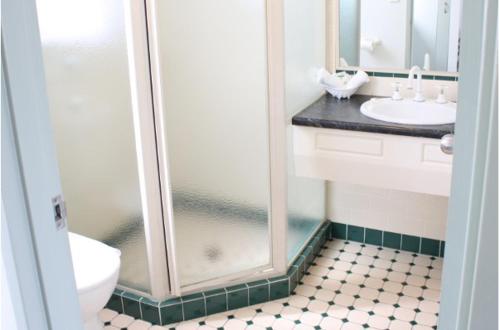 a bathroom with a shower and a toilet and a sink at Elite Motor Inn in Armidale