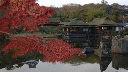 a red tree in front of a house in the water at Toyoko Inn Hikone eki Higashi guchi in Hikone