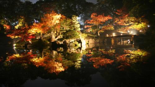 a garden at night with trees and a pond at Toyoko Inn Hikone eki Higashi guchi in Hikone