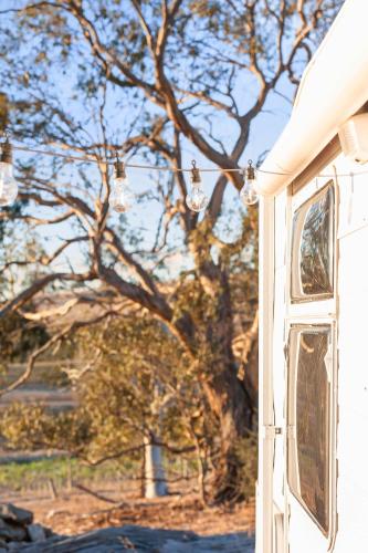 a window of a white house with lights on it at Vineyard Farmstay at Vista Fiano in Clare