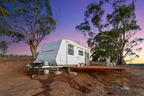 a white trailer parked in a field next to a tree at Vineyard Farmstay at Vista Fiano in Clare
