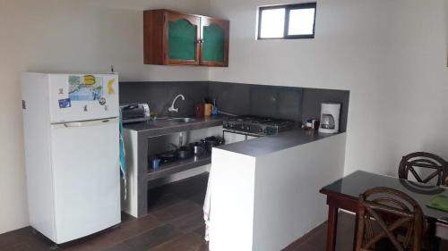 Kuchyň nebo kuchyňský kout v ubytování OASIS JENY Apartamento con entrada independiente