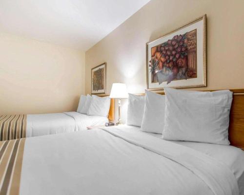 Кровать или кровати в номере Econo Lodge