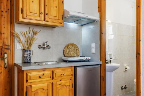 Kuchyň nebo kuchyňský kout v ubytování Nikolaos studios apartments