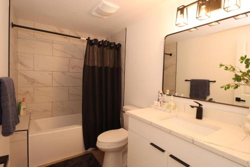 a bathroom with a sink and a toilet and a mirror at 2 bedrooms near Downtown, Airport, stadiums, light rail in Seattle