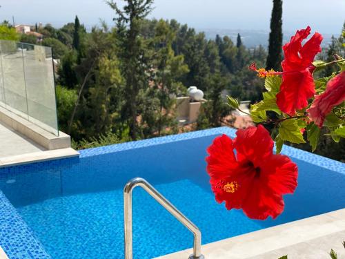a red flower sitting next to a swimming pool at Villa Eirini Kamares Tala Luxury Sea View in Tala