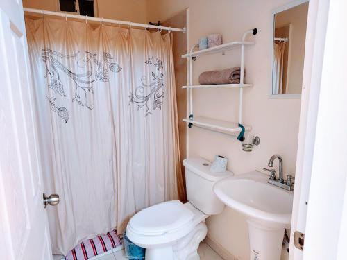 a bathroom with a white toilet and a sink at Departamento 22 centrico,cerca de los destinos clave, CAS, Consulado, Centro de Gobierno y Galerías Mall in Hermosillo
