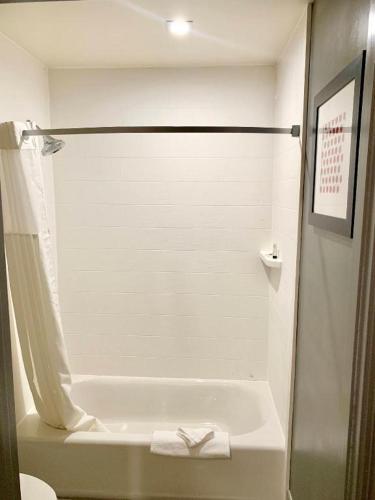 a bathroom with a bath tub with a shower curtain at Pacific Motor Inn in San Jose