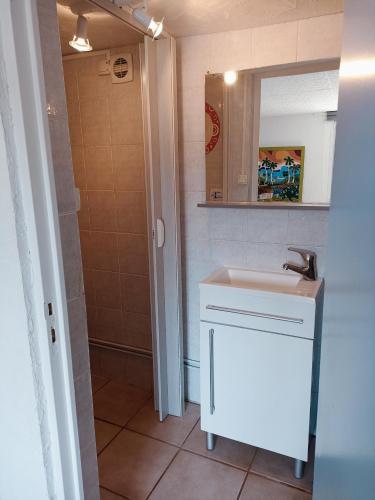 une salle de bain avec un lavabo et une douche dans l'établissement Maison de la mer - plage d'Ault - WIFI, à Ault