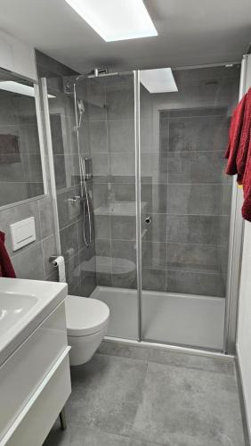 a bathroom with a shower and a toilet and a sink at Friedrichs Kleines Haus in Bannewitz