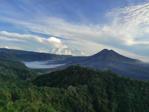 Φυσικό τοπίο κοντά σε αυτό το bed & breakfast