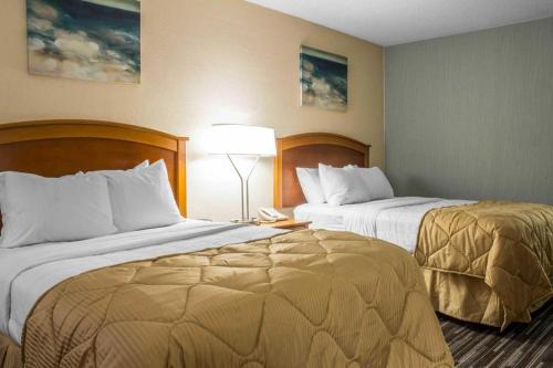 a hotel room with two beds and a lamp at Lifestyle Inn Cedar Falls in Cedar Falls