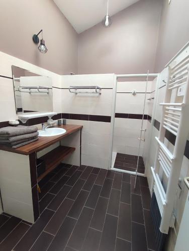 une salle de bain avec un lavabo et une douche dans l'établissement Gite Les Brugues - Lisle sur Tarn, à Lisle-sur-Tarn