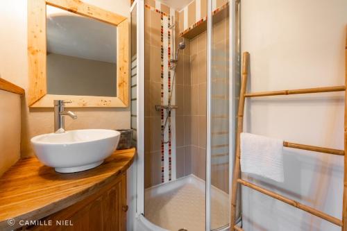 un bagno con lavandino e doccia di la Tarte Qui Flette a Saint-Sulpice