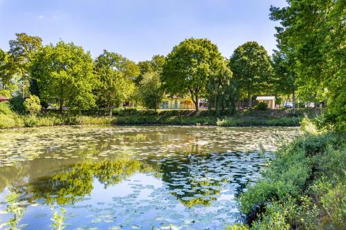 a pond with lily pads on the water at Haus Miriam in Walchum