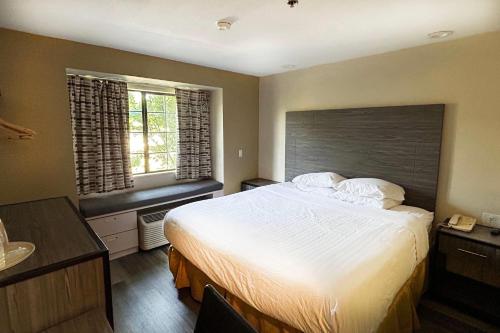 a bedroom with a large bed and two windows at Travelodge by Wyndham Arlington/Dallas Area in Arlington