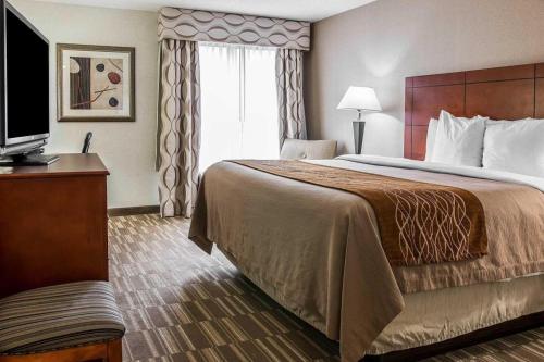 a hotel room with a large bed and a television at Comfort Inn & Suites University South in Ann Arbor