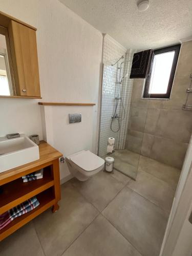 a bathroom with a shower and a toilet and a sink at Derya Beach Agullu Villa 5 in Kaş