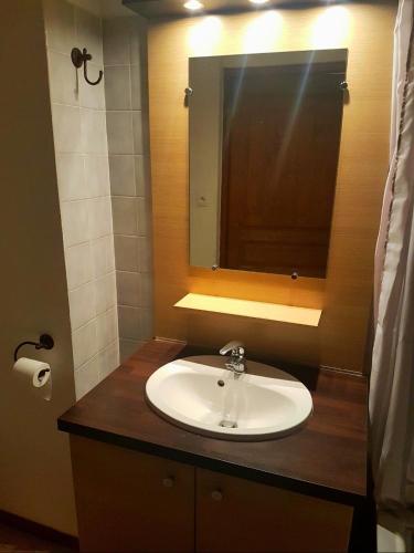 une salle de bain avec un lavabo et un miroir dans l'établissement Les 3 Vallées Apartment, à Brides-les-Bains