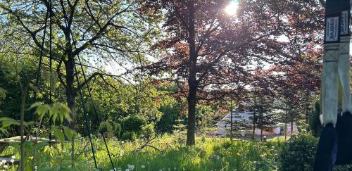 Gallery image of Cozy Garden Glamping in Svendborg