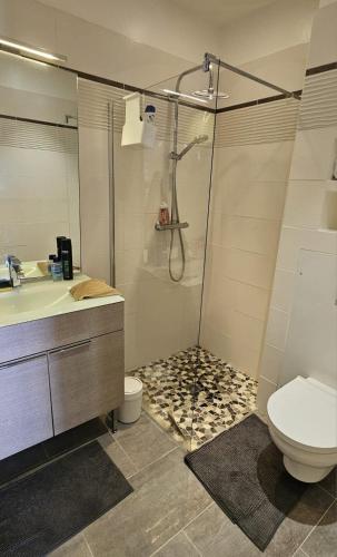 une salle de bain avec une douche, des toilettes et un lavabo dans l'établissement Maisonette Vue Mer 180 - Terrasse & Jardin, à Roquebrune-sur Argens