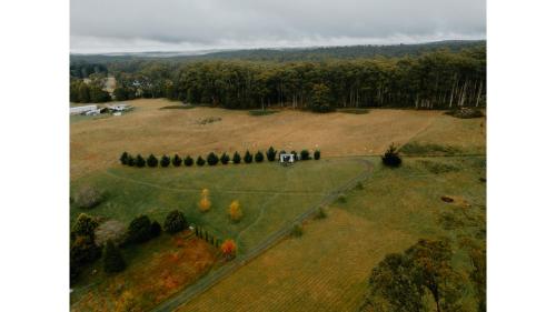 an aerial view of a field with a group of trees at The Ridge by Tiny Away in Korweinguboora