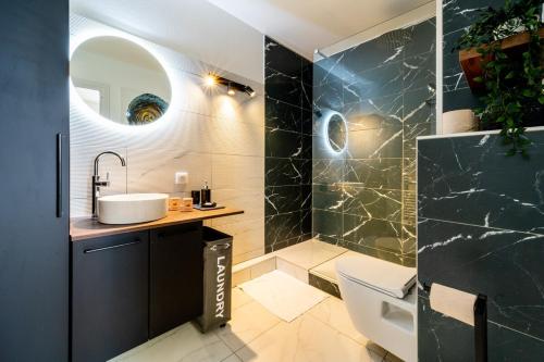 ein Badezimmer mit Waschbecken, Toilette und Spiegel in der Unterkunft Very nice apartment in Mulhouse Lambert city center in Mulhouse