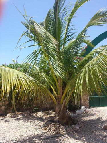 Φωτογραφία από το άλμπουμ του Anjumasa Village σε Watamu