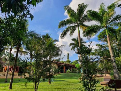 eine Gruppe von Palmen vor einem Haus in der Unterkunft Ecocentro Brasil - Bangalô 5 in São Pedro