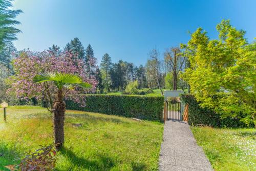 a garden with a palm tree and a sidewalk at Casa Margherita tra charme e verde in Casorate Sempione