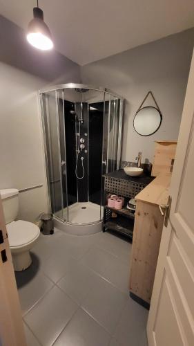 une salle de bain avec douche et toilettes dans l'établissement Appartement plein centre avec terrasse, à Font-Romeu