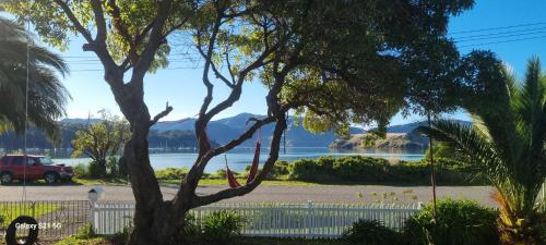a tree with a view of a body of water at Beach Front Paradise in Purau