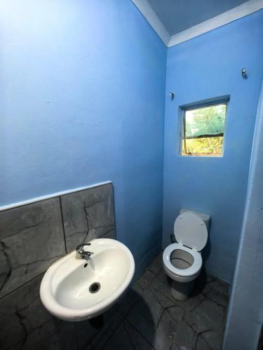 a blue bathroom with a sink and a toilet at Evergreen guest house in Pietermaritzburg