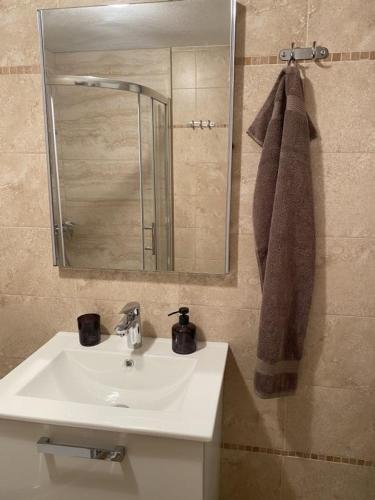 a bathroom with a white sink and a mirror at Alto Mare Apartments in Selce