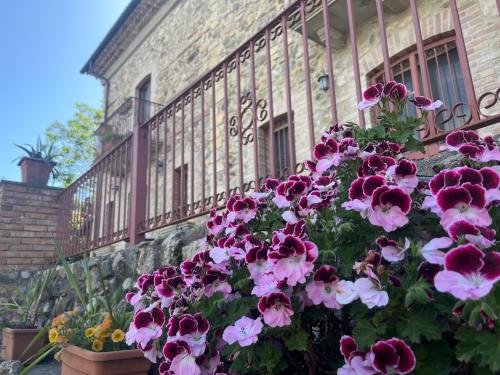 a bunch of pink flowers in front of a building at Villa Maria in Marano Principato