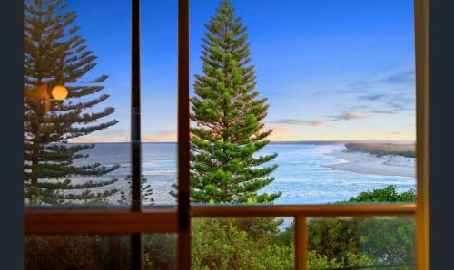 a window with a view of a beach and two pine trees at Araluen, Esplanade, Caloundra in Caloundra