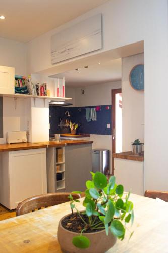 une plante en pot assise sur une table dans une cuisine dans l'établissement Family home 3 bedrooms with garden, à Biarritz