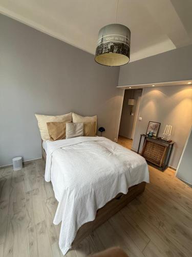 Foch 1 - Luminous apartment in city center w balcony