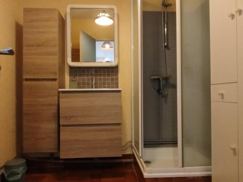 une salle de bain avec une douche, un lavabo et un miroir dans l'établissement T2 face mer avec parking à deux pas de la plage et des commerces -4GAL502, à Saint Cyprien Plage